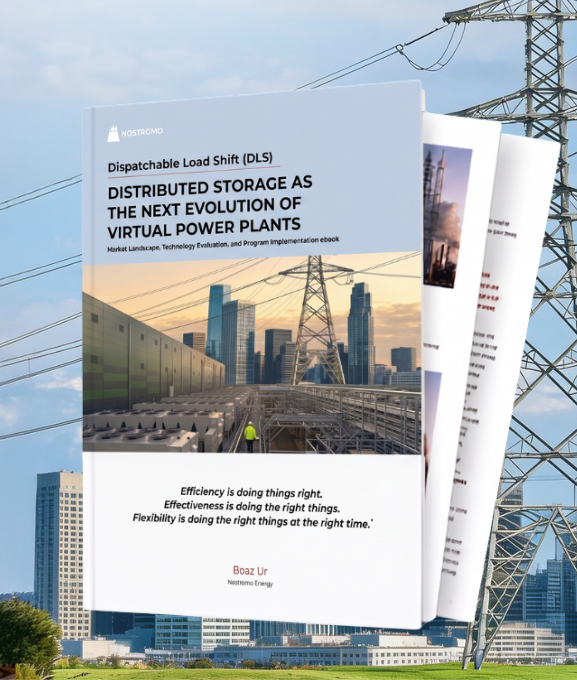 DLS eBook